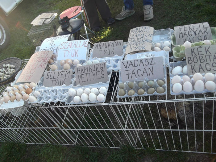 DSCF2461 - targ monor 14-04-2013