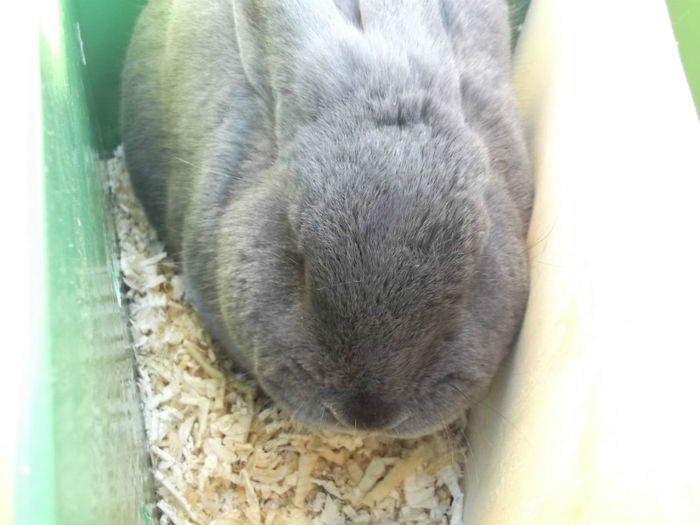 DSCF2465 - targ monor 14-04-2013