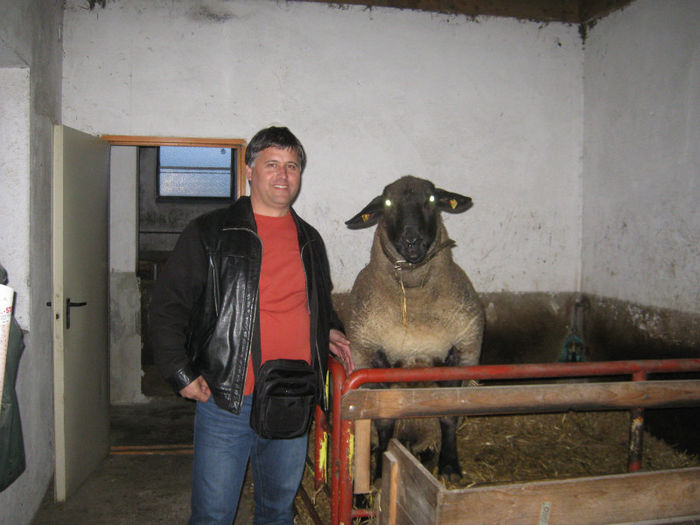 domnul Dr-din Romania