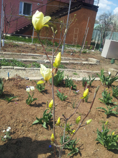 20130414_142416