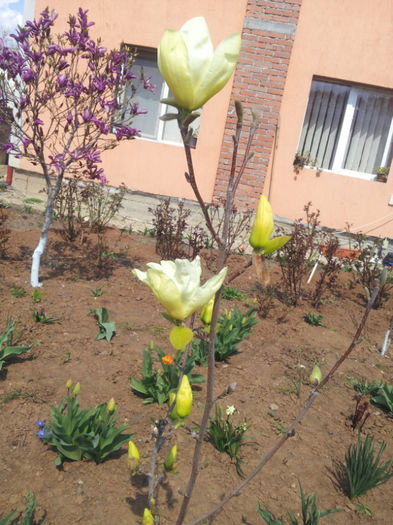20130414_142432