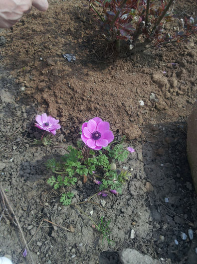 20130414_142458