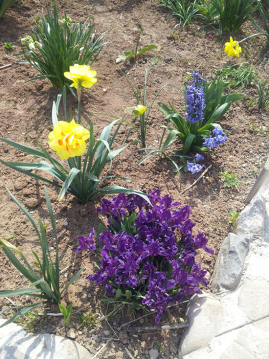 20130414_142556