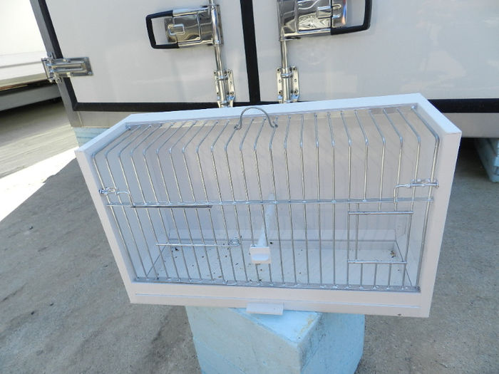 DSCN5841; colivie prezentare canari.
