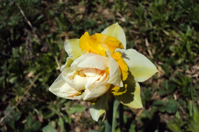 032