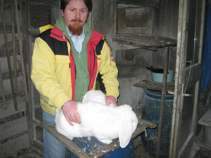 wels_m - vizita crescatoriilor de iepuri oi si gaini din zona -sucevei-vaslui