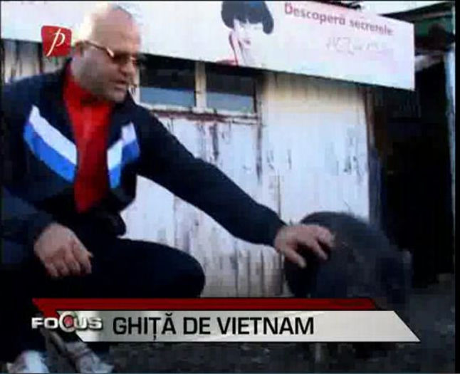 6 - DE VANZARE porci vietnamez