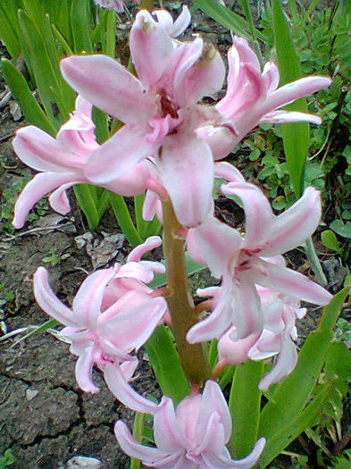 Fotogr.0734