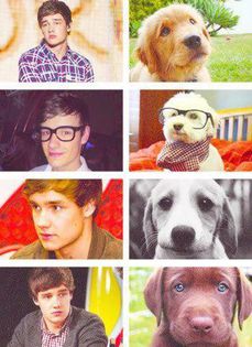 1D - 00 Poze One Direction rare 03