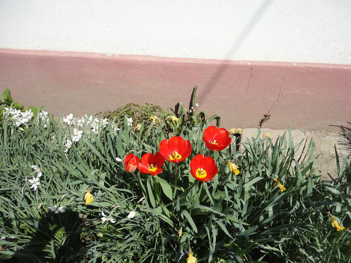 DSC06620