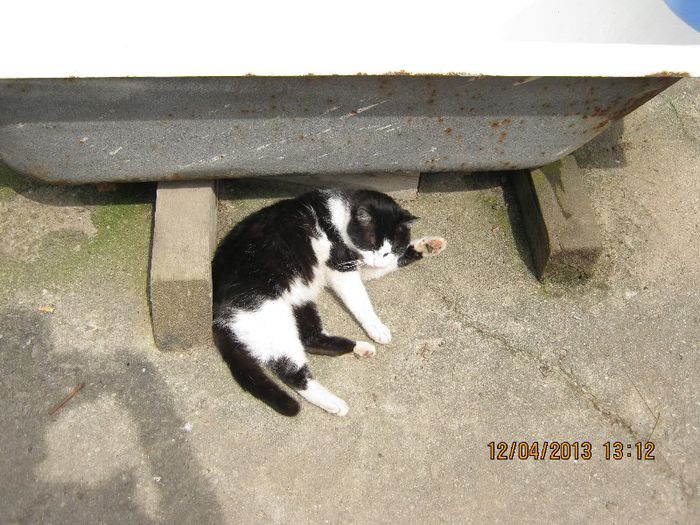 IMG_1830 - Aprilie la tara