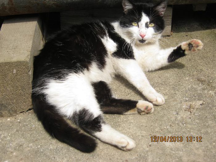 IMG_1833 - Aprilie la tara