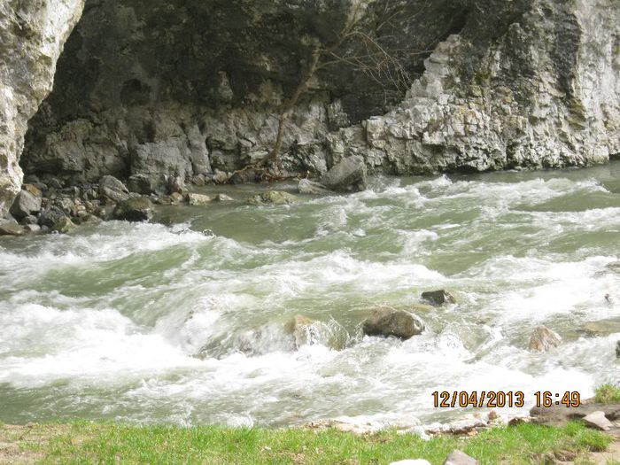 IMG_1907 - Aprilie pe Sohodol Runcu