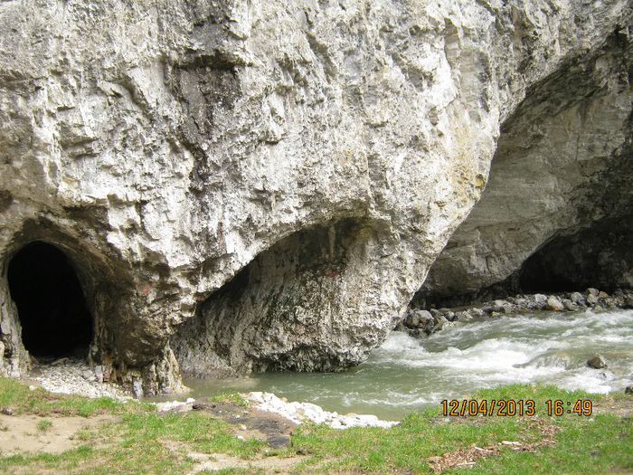 IMG_1910 - Aprilie pe Sohodol Runcu