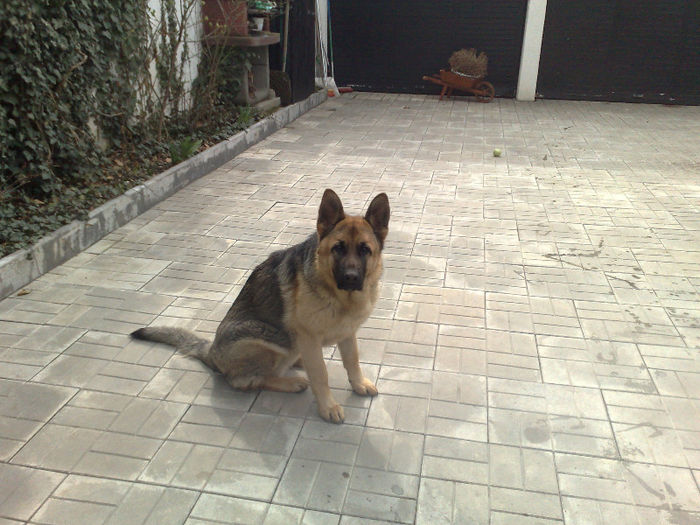 Axel-6luni - CONTACT