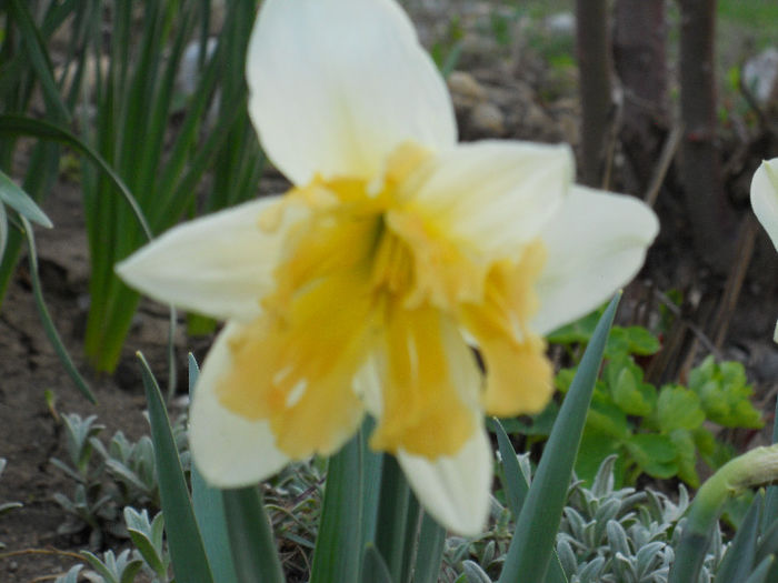 DSCN3880