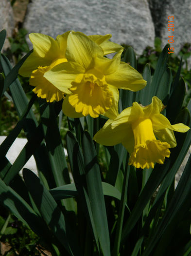 022