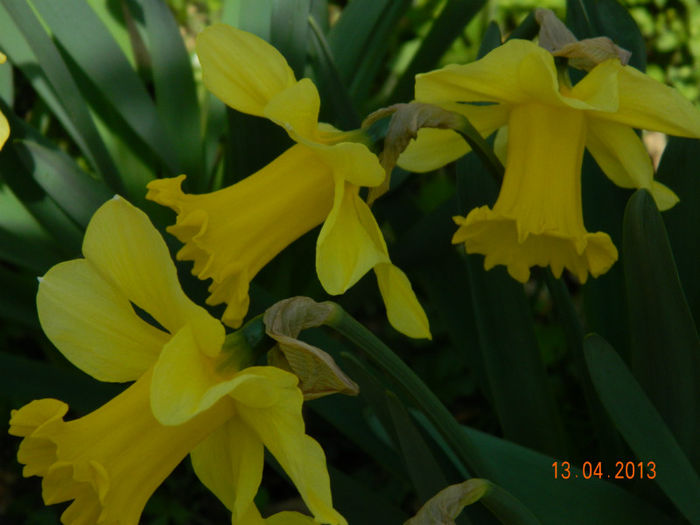 023