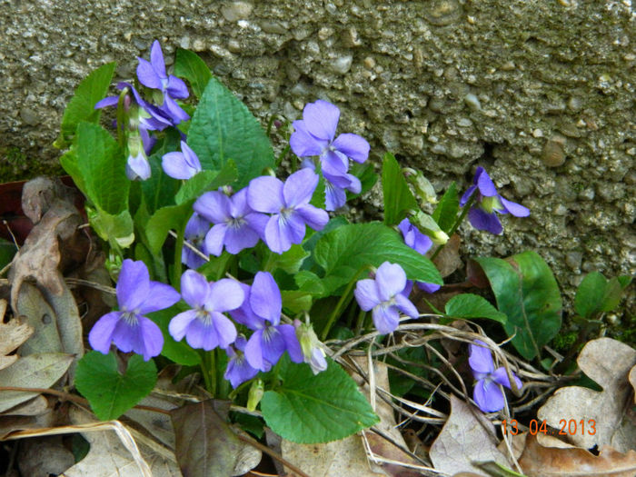 032