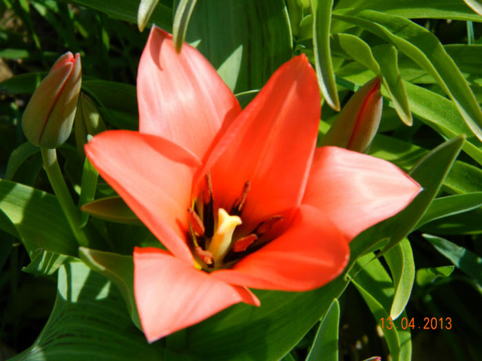 034