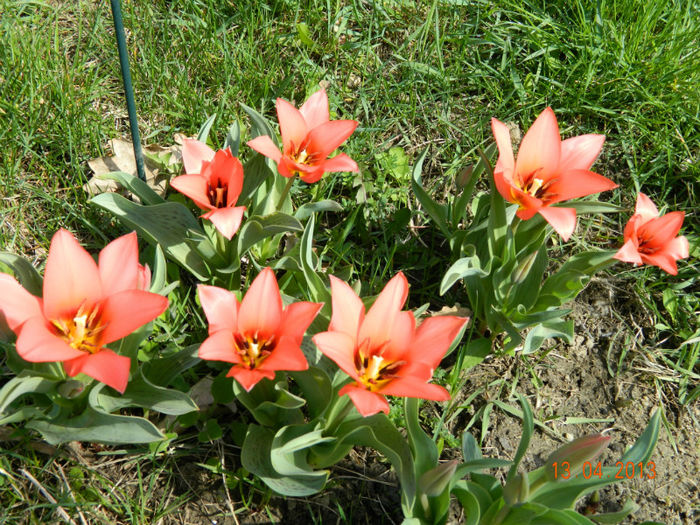 041
