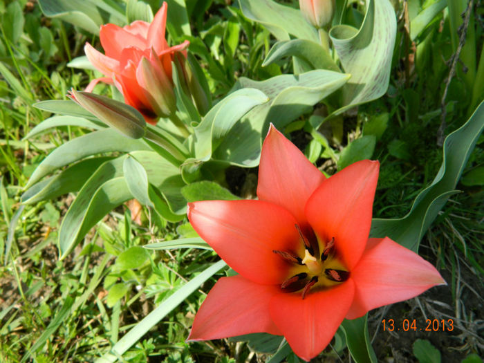 043