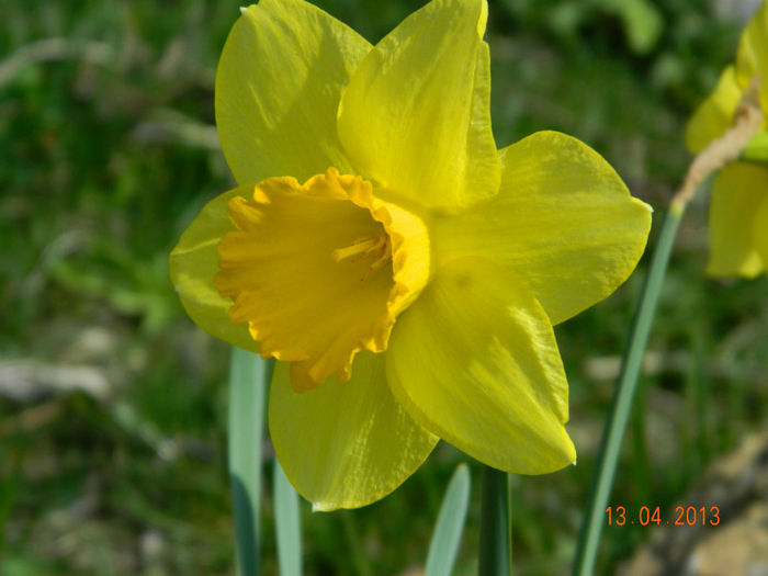 046