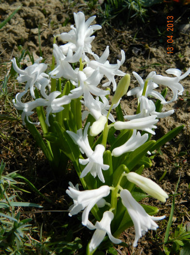 058