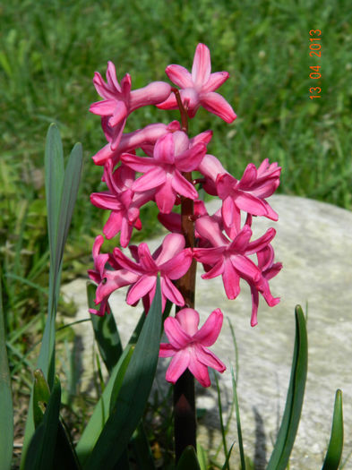 066