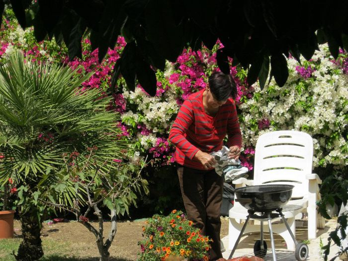 gradinareasa la lucru - gradina-aprilie 2013