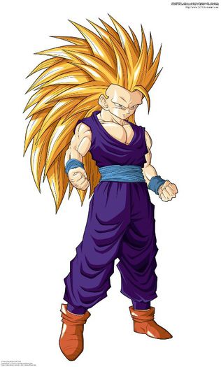 Dragon-Ball-Z-dragon-ball-z-31899543-1024-1697