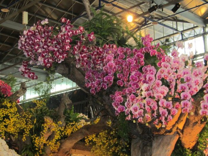  - Expozitie florala Taipei