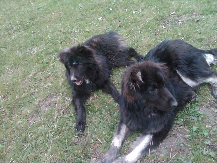 IMG00434-20130412-1746