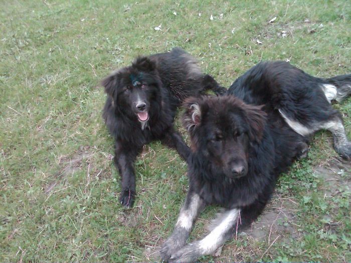 IMG00433-20130412-1746