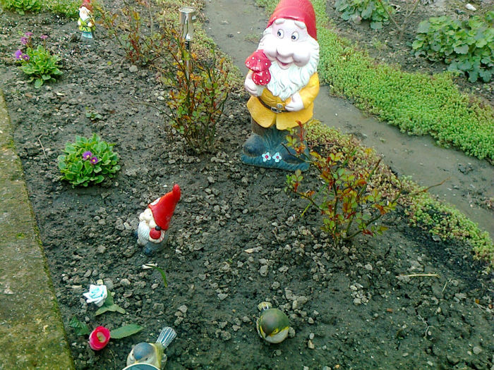 un coltisor din gradina de flori