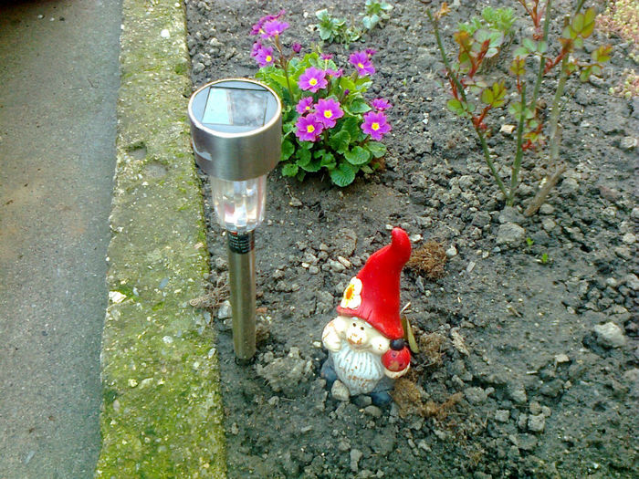 un coltisor din gradina de flori