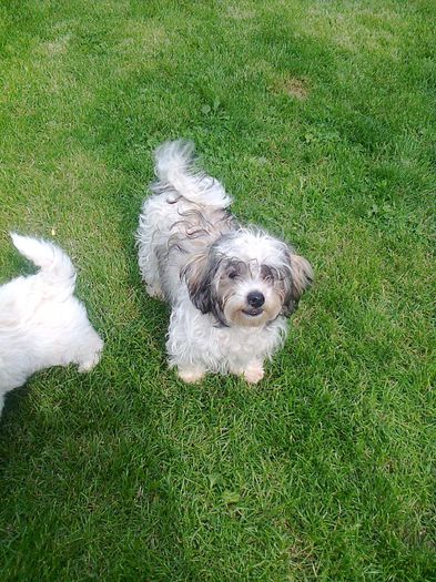 Fotografie0136; alice
