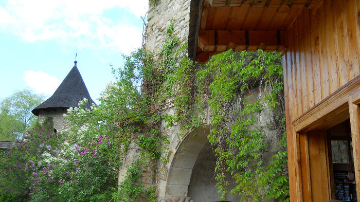 DSCN3180 - CAMPULUNG 2012