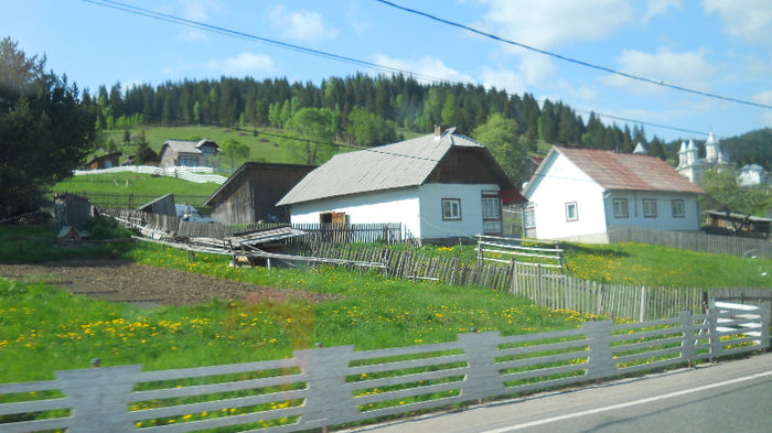 DSCN3186 - CAMPULUNG 2012