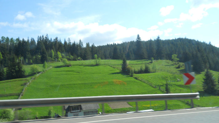 DSCN3187 - CAMPULUNG 2012