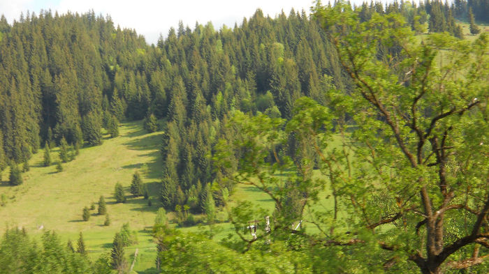 DSCN3190 - CAMPULUNG 2012