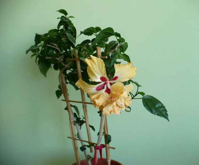 P1420830