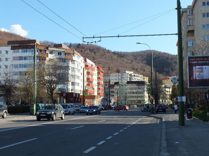 DSCF0784
