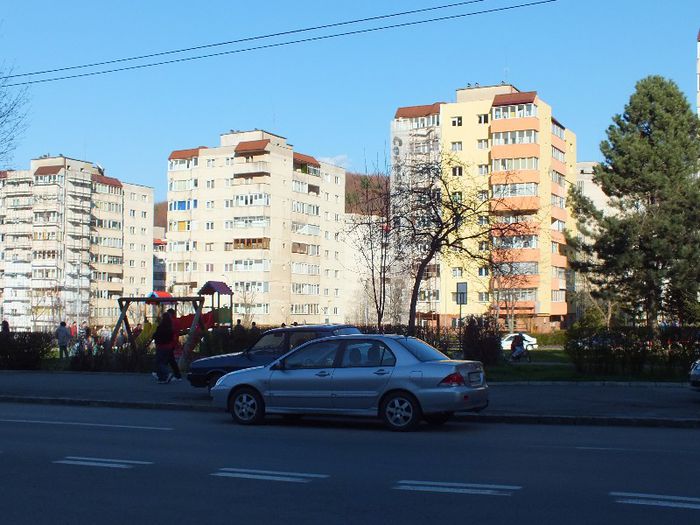 DSCF0799