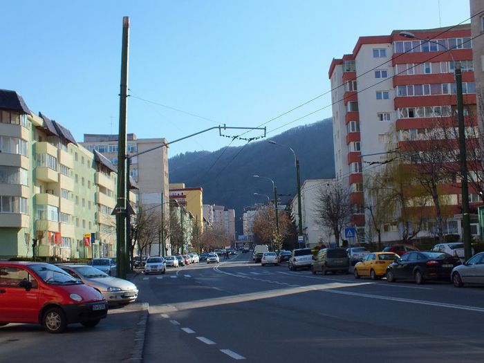 DSCF0803