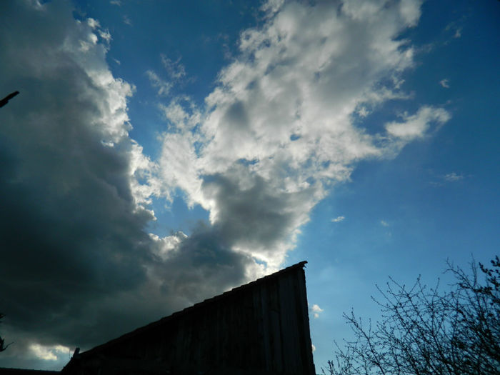 DSCN6796