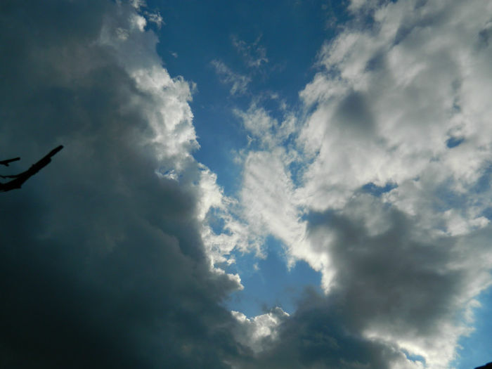 DSCN6797
