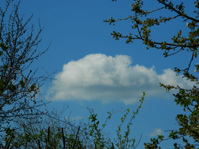 DSCN6826