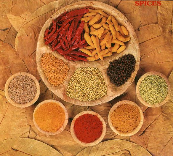  - Indian spices-Condimente