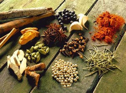  - Indian spices-Condimente